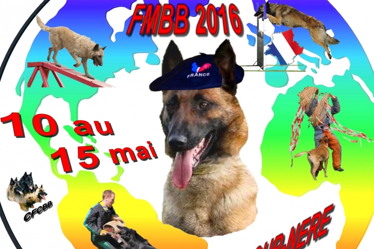 Magyar kutya nyerte a belga juhászkutyák világbajnokságát