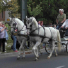 Sághegyi Szüret 2016 