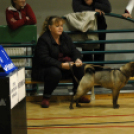 Kettős győzelemmel a Klubcsapatok Szuperligájának döntőjében.