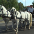 Sághegyi Szüret 2016 