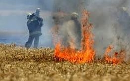 Tarlótűz Pecölnél - Leégett egy pulykanevelde tetőszerkezete