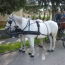 Sághegyi Szüreti Napok 2013 - szombat - felvonulás