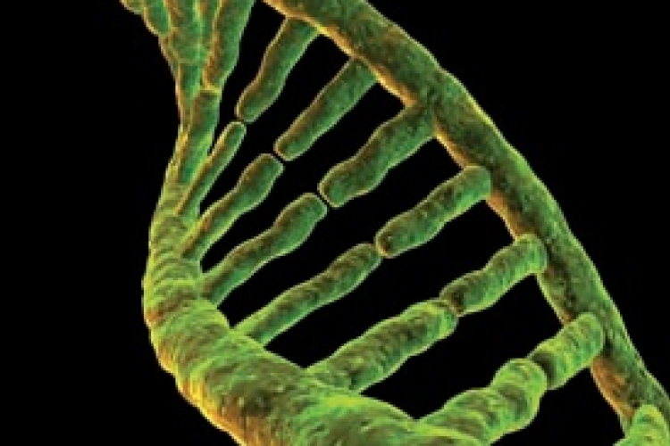 Ikerbalsiker: hiába a DNS, nem tudják, melyik iker a bűnös