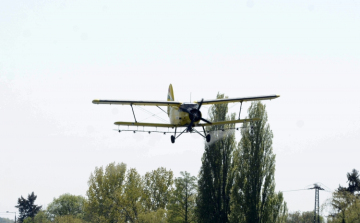 Kezdődik a szúnyogirtás a Balatonnál