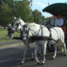 Sághegyi Szüret 2016 