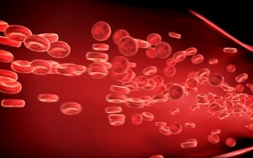 Vérben lévő antitest jelezheti előre a szklerózis multiplexet