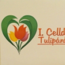Tulipán Fesztivál Celldömölk - Első nap - Majális