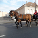 Sághegyi Szüreti Napok 2014 - FELVONULÁS