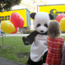 Óriás PANDA a Pogi-Bárban Celldömölkön!