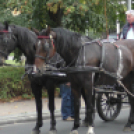 Sághegyi Szüreti Napok 2017