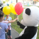 Óriás PANDA a Pogi-Bárban Celldömölkön!