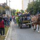 Sághegyi Szüret 2015 - a felvonulás képei