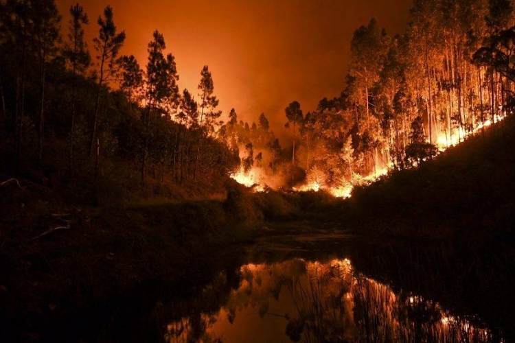 Az Európai Unió segítséget nyújt Portugáliának az erdőtüzek megfékezéséhez