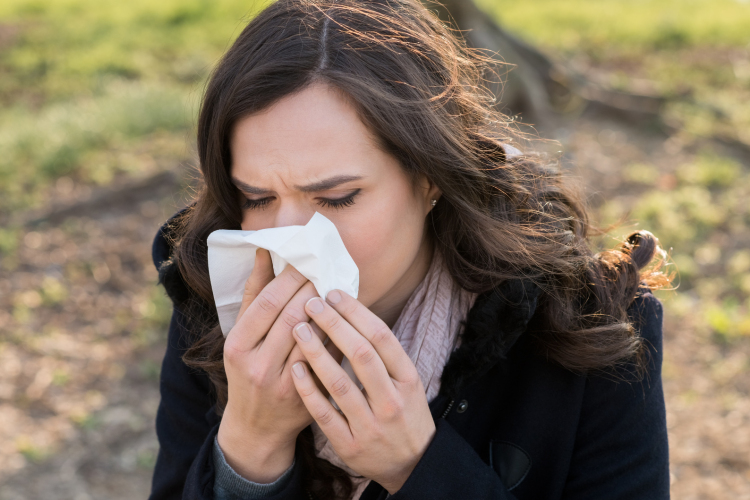 Erősítse immunrendszerét gyógynövényekkel