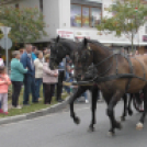 Sághegyi Szüreti Napok 2017