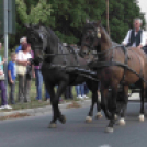 Sághegyi Szüret 2016 