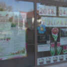 Tulipánfesztivál Celldömölk 2018