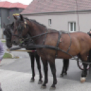 Sághegyi Szüreti Napok 2017