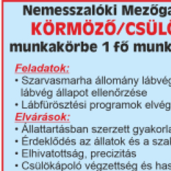 Körmöző, Csülökápoló munkalehetőség