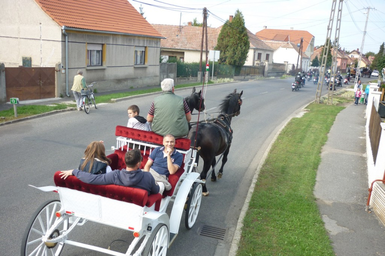 Sághegyi Szüreti Napok 2013 - szombat - felvonulás