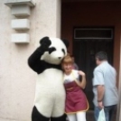 Pek-Sneck Panda Macival
