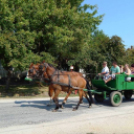 Falunapi pillanatképek Vönöckről