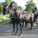 Sághegyi Szüreti Napok 2013 - szombat - felvonulás