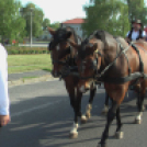 Sághegyi Szüret 2016 