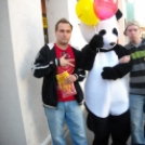 Panda maci Celldömölkön