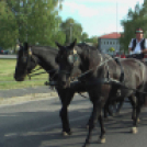 Sághegyi Szüret 2016 